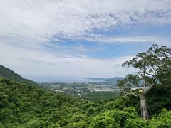 -三亚亚龙湾人间天堂鸟巢度假村