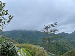 -藏龙百瀑风景区