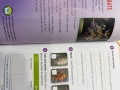 -I-Shine英语国际教育(大三林中心)