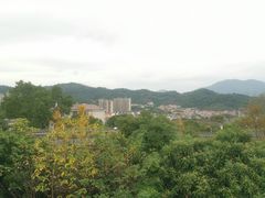 -福道