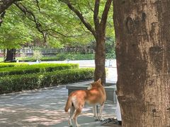 -三妹小龙虾·黄油蟹(华侨城总店)