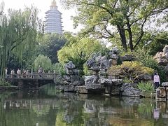 -红梅公园