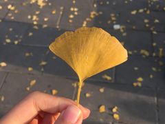 -富乐山