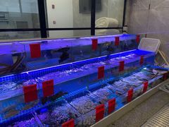 水产区-洲晓鲜·舟山海鲜大排档(朱家尖风景区店)