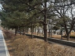 -绿堤公园