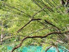-小七孔景区-六十八级跌水瀑布