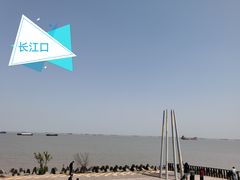 -上海滨江森林公园
