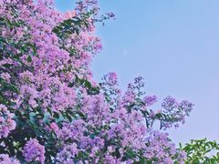 -杭州城北体育公园