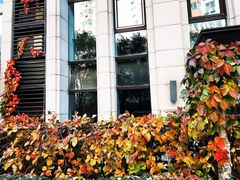 -六月花园咖啡馆(中关村东路店)
