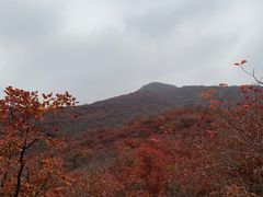 -周口店坡峰岭风景区