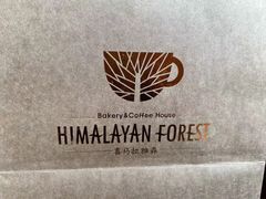 -喜马拉雅森HIMALAYAN FOREST