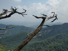-丹东凤凰山景区