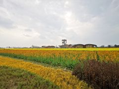 -中国天府农业博览园