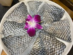 -大龙燚火锅(春熙店)