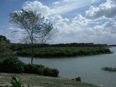 -丁香湖公园