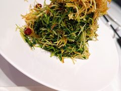 巧拌豆苗-四季民福烤鸭店(王府井东安门店)