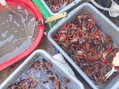 -小田油焖小龙虾(双井店)
