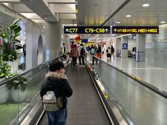 -广州白云国际机场-T2航站楼