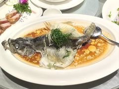 -悦来轩顺德菜(寮厦店)