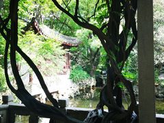 -复旦大学附属华山医院(总院)
