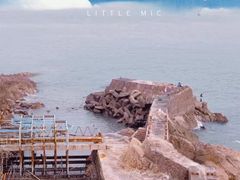 -小麦岛公园