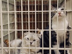 -情忆草原涮肉馆