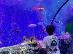 -沈阳海洋探索中心