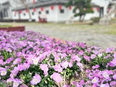 -武汉紫薇都市田园