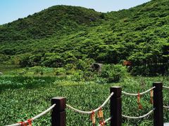 -大围山国家森林公园