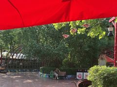 -郑州方特梦幻王国