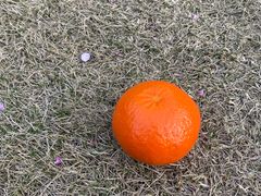 -芬芳四季养生会所(西溪店)