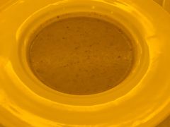 -成桂西餐厅·42年的味道(五大道疙瘩楼店)