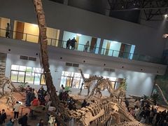 -自贡恐龙博物馆