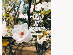 -梁鸿国家湿地公园