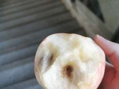 -深业半汤御泉庄温泉