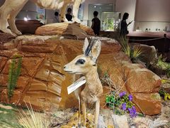 -陕西自然博物馆