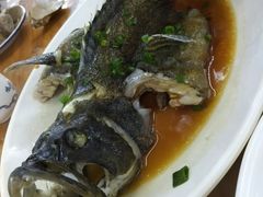 清蒸石斑鱼-明记海鲜大排档(巽寮湾店)