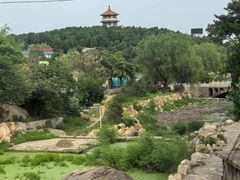 -泰山风景名胜区-虎山公园