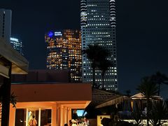 -新加坡文华东方酒店