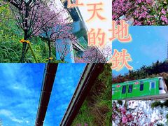 -佛图关公园