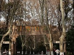 -灵谷景区