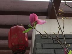 -固安来康郡来康温泉