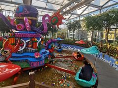 -南宫五洲植物乐园