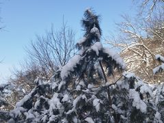 -终南山南五台景区