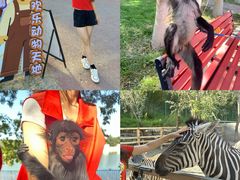 -水上乐园·欢乐世界