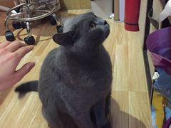 -壹人壹像工作室(购物公园店)