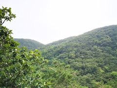 -童牛岭风景区