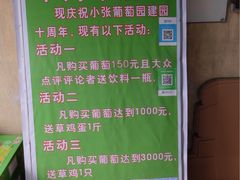 -马陆小张葡萄园农家乐