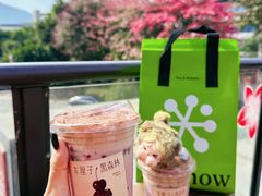 -奈雪的茶(永嘉天地东百城店)