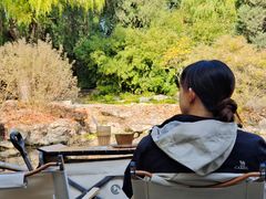 -三忘湖 SWANSEEN(柳荫公园店)